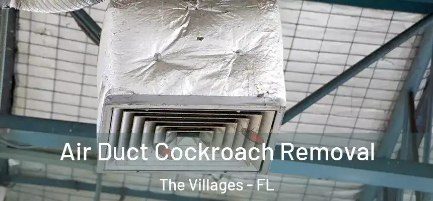 Air Duct Cockroach Removal The Villages - FL