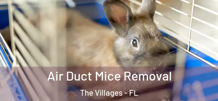 Air Duct Mice Removal The Villages - FL