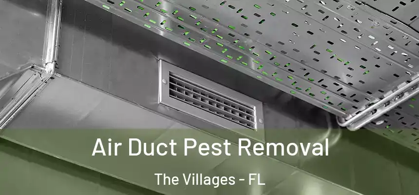 Air Duct Pest Removal The Villages - FL