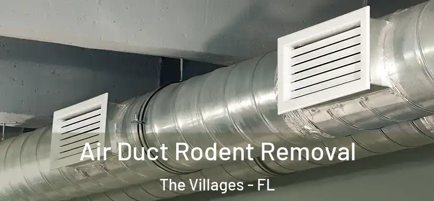 Air Duct Rodent Removal The Villages - FL