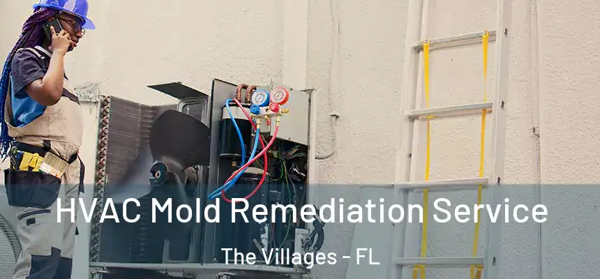 HVAC Mold Remediation Service The Villages - FL