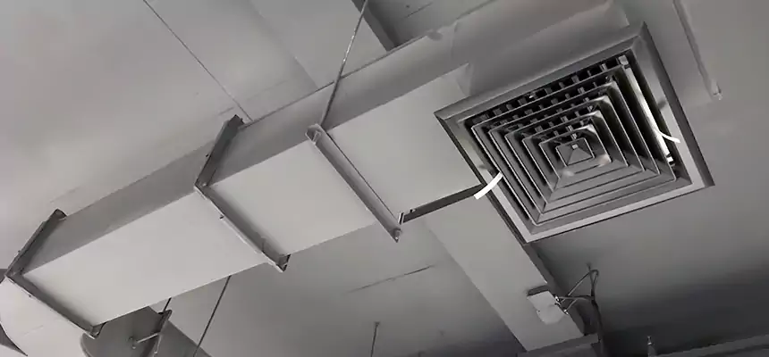 Restorative Allergy Relief Vent Cleaning – Coil, Blower & Housing Detail in The Villages