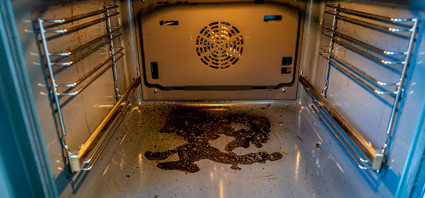 Our Dryer Vent Mold Cleaning Services in The Villages, FL