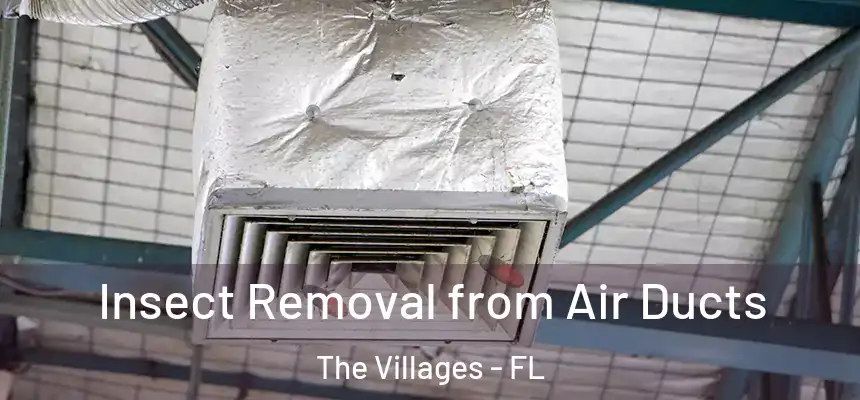 Insect Removal from Air Ducts The Villages - FL