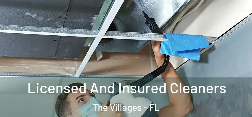 Licensed And Insured Cleaners The Villages - FL