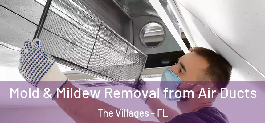 Mold & Mildew Removal from Air Ducts The Villages - FL