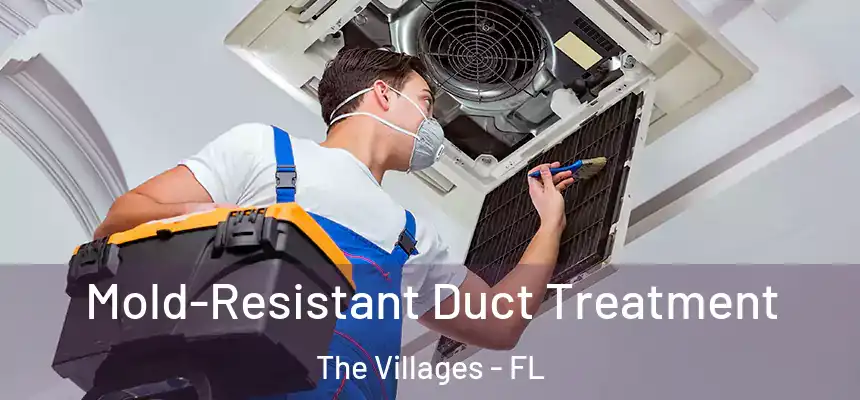 Mold-Resistant Duct Treatment The Villages - FL