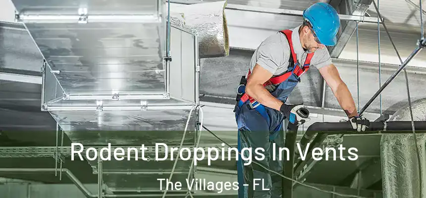 Rodent Droppings In Vents The Villages - FL