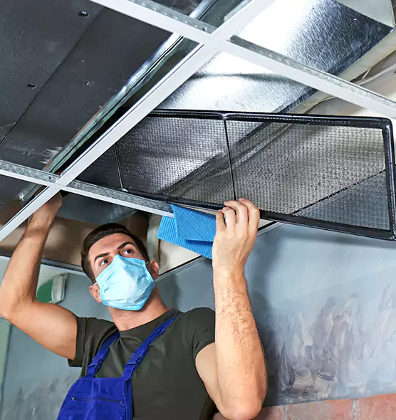 Professional Air Duct Pollen Cleaning in The Villages, FL