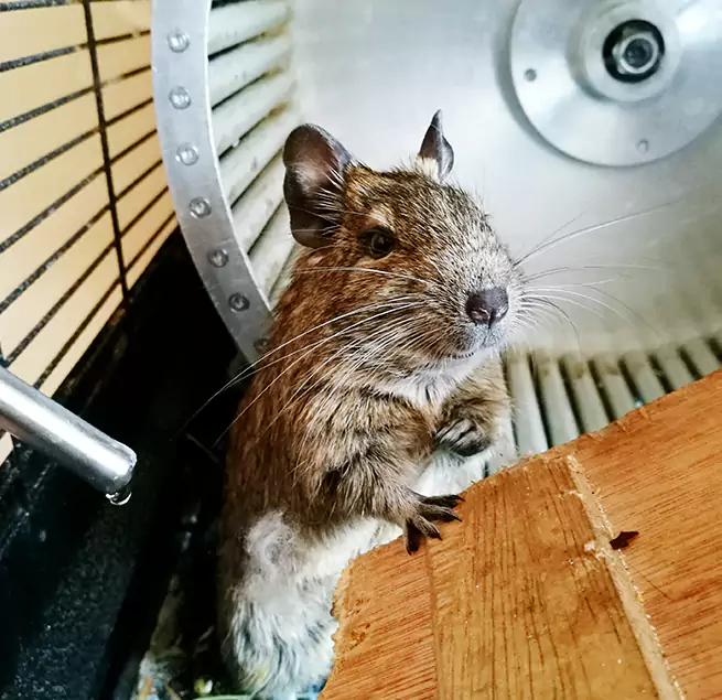 Why Homeowners & Businesses Trust Us The Villages, FL?