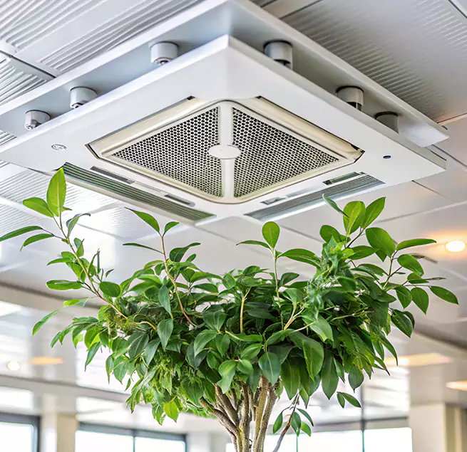 Why Homeowners & Businesses Trust Us in The Villages, FL